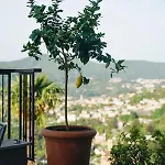 Almana Cernobbio