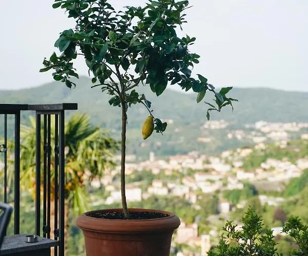 Almana Cernobbio